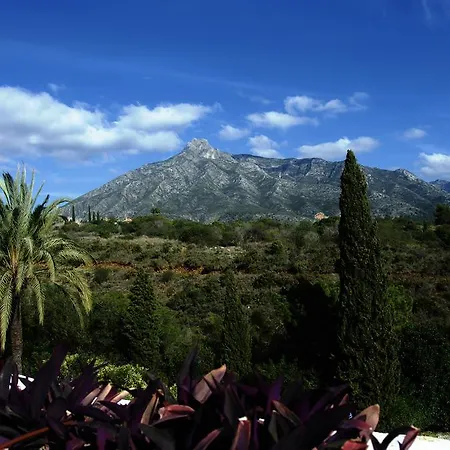 Botanic Marbellac